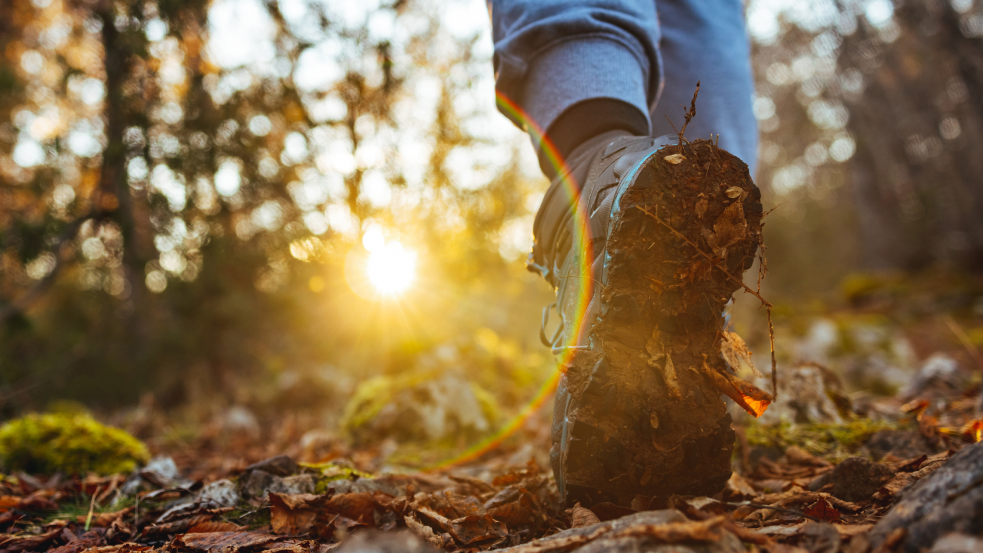 close up of boots walking in a woodsy area with leaves on the ground and the sun peaking through the trees